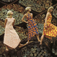 Image for article titled How a Simple Fabric Pattern Uplifted a Post-War Finland